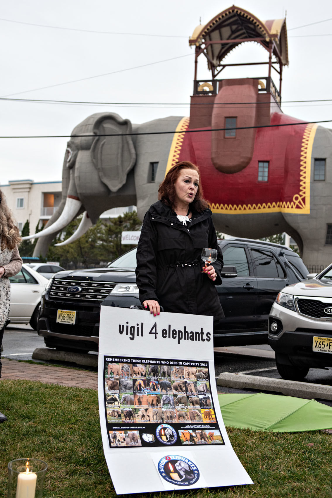 010520_nws_elephants